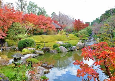 🛕 묘신사 퇴장원 (타이조인)